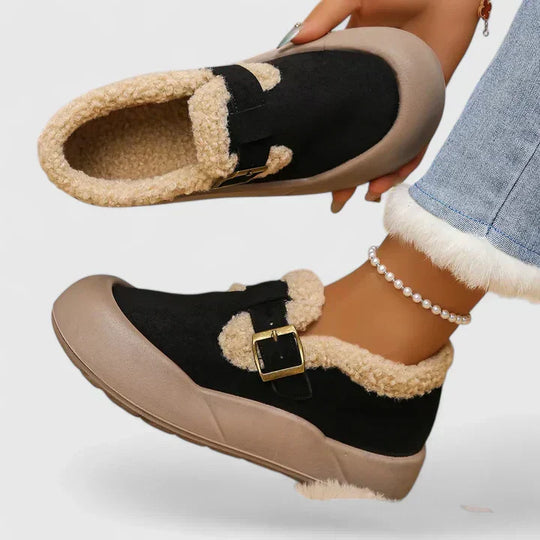 Ankle boots in black and brown for women
